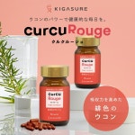 흡수율이 높은 커큐민 보충제 62정 일반 커큐민보다 약 93배 일본 벤처 개발 커큐루즈 : come-on-in