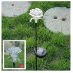 [3색 변환]고효율 정원용 태양광장미등 H2156 : 오늘은 최고의 날