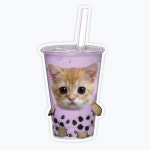 버블티 아기 고양이 투명 아크릴 스마트톡 : 버블케이스