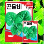 텃밭 쌈채소 종자 곤달비 씨앗 1g : 농사농