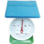 효성정밀계기 접시지시저울 국산 접시 바늘 업소용 50kg, 1g, 그린 : 메이툴