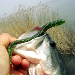 다미끼 스팅거 배스 광어 캐스팅 웜 동해 광캐 108, 플로팅 10cm : 에프마켓 인천