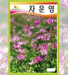 자운영    씨앗 1kg /대형화단녹화용/법면녹화용/법면녹화용종자 : 사이버가든