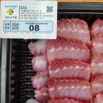 맛좋은흑산홍어 국내산 홍어 흑산 홍어 혼술용 삼합 (+전라도 묵은지 서비스) : 맛좋은흑산홍어