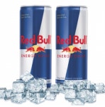 동서 레드불 에너지 드링크 250ml 6캔 : 몽키셀러