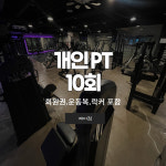[제이짐] 1:1 PT 10회 : 제이짐 연중무휴