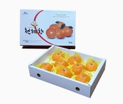 제주 나래농장 프리미엄 천혜향 : 제주나래농장비트카페