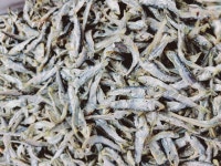 남해 건멸치 솔치  500g/1kg/1.5kg 죽방 최상급 산지직송 : 남해건어물점빵