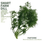 [파르테르] 딜 100g 허브생잎 당일수확 당일발송 농장직송 : Parterre파르테르