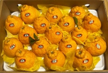 제주 귤 서귀포 밀감 고당도 노지 감귤 3kg 5kg,10kg  타이벡 이가네제주농장 : 이가네 제주농장