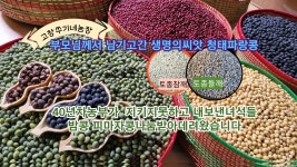 2024년 국산[검은팥 ]힌팥 거두회색팥1 Kg : 고창 쑤기네농장