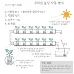 수경재배기 발코니 무토양재배 상추심기 주말농장 농장체험 : 아이엠티비마켓