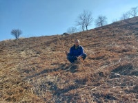 지리산 고사리종근 먹고사리 뿌리 모종용 묘목 농사 고사리재배 10kg, 20kg 정영농장 : 지리산 정영농장