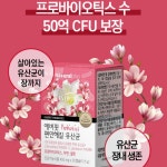 에버핏 편안해질 질유래 특허 유산균 아연 장내 장건강 식물성 30캡슐 : 대비원