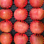 장성 삼계농협 부사 사과 선물용 제수용 초고당도 5kg, 10kg : 아프로 스토어