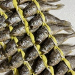 가정용4호 20마리 1.8kg내외 법성몰 영광굴비 : 법성몰