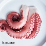 [무료배송&산지직송] (통문어 500g) 문어계의 에르메스 포항 양포 문어 : happyverse