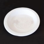 플라스틱P접시(10매) : 창조사이언스