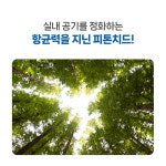 에어퓨리 피톤치드 새집증후군 탈취제 1L 냄새 악취 제거 입주청소 공기정화 포름알데히드 : 크린대장