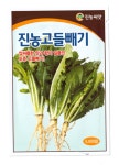 고들빼기씨앗 5000립 토종고들빼기종자 : 도시농부마켓