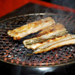 통영 자연산 바다장어 장어구이 1kg : 바른엄마