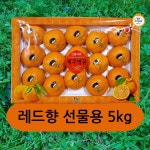 제주 레드향  5kg 선물용 대과 설명절 선물세트  GAP인증 : VIP한라봉농장