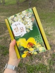 구천동벌꿀 국산 프리미엄 천연 생꿀 세트 (1.2kg 2개입) : 구천동 벌꿀