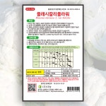 플래시칼리플라워 씨앗 100립 다농 컬리플라워씨 종자 : 대농종묘