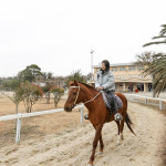 제주 더마파크 / 제주도 카트 승마 기마공연 이색체험 관광지 : 브이패스