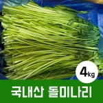 돌미나리 제철 국내산 4kg 당일수확 미나리 특등품 : 가락은혜상회