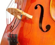 게바 더블 베이스 픽업 DB-1 : 도로동스토어