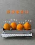[규을] 제주현수농장 노지 한라봉미니 꼬마한라봉 9kg(박스제외 실중량) : 제주현수농장