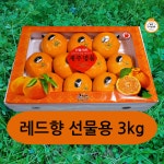 서귀포 레드향 3kg 선물용 : VIP한라봉농장