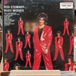 ROD STEWART LP : 거꾸로가는음악시간