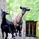 강복자 블랙 숙성 흑염소 2024 30팩 세트 액기스 진액 건강 선물 : BEST 강복자