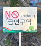 텃밭팻말 주말농장 원목 반제품 나무 간판 화단 표찰 150x88 : Oliwood