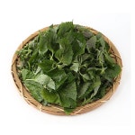 #깻잎순 300G/국산 : 두드림01