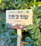 텃밭팻말 주말농장 원목 반제품 나무 간판 화단 표찰 150x88 : Oliwood
