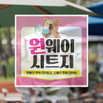 유리창 원웨이 타공 시트 필름 인쇄 출력 종합광고 신애드 : 광고의 신