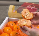 천혜향 3kg (11~13과) : 데이푸룻 dayfruit
