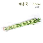 개운죽 50cm(10개입) : 영농조합법인 에듀팜