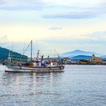 [당일조업] 한번도 얼리지않은 제주 갈치 생물 은갈치 생갈치 특대 왕특대 : 제주피셔스마켓