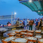 [당일조업] 한번도 얼리지않은 제주 갈치 생물 은갈치 생갈치 특대 왕특대 : 제주피셔스마켓