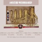 풍기인삼 5-6년근 수삼 인삼 선물하기 좋은 인삼 : 한보인삼사
