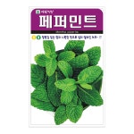 페퍼민트 200립 허브 바질 꽃씨 꽃 씨앗 종자 모종 텃밭 주말농장 아람종묘 그린종묘농약사 : 허수아비정원