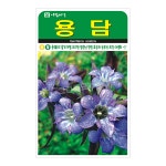 용담 1000립 꽃씨 꽃 씨앗 종자 모종 텃밭 주말농장 아람종묘 그린종묘농약사 : 허수아비정원