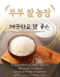 평안벼, 삼광벼, 친들미, 백미 10kg, 20kg : 부부쌀농장