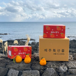 제주도 고당도 명품 한라봉 중대과 10kg 5kg 3kg 가정용 선물용 효돈 농장직송 : 귤스데이