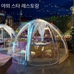 투명천막 유르트텐트 투명텐트 투명비닐천막 캐노피텐트 대형투명비닐 텐트 : 글로리 그로우