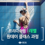 프리다이빙 입문 초급 과정 원데이 체험 1-2레벨 교육 PADI AIDA 일산 프리다이버 : 메르다이빙센터